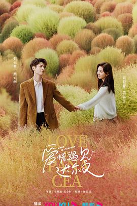 中山seo网站排名优化